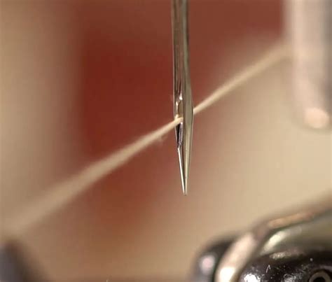 sewing machine needle  dull kittypatterns