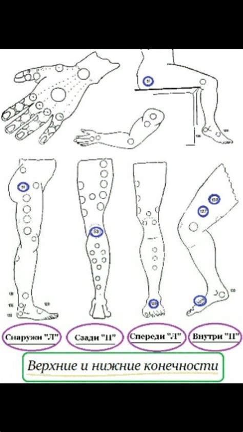 Pin on Любимое | Hijama, Cupping points, Hijama points