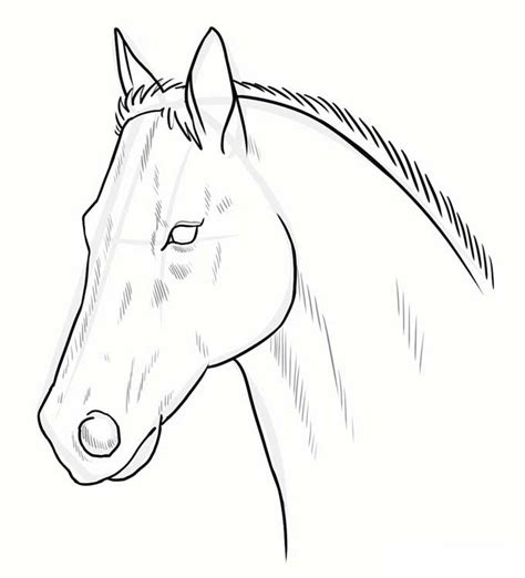 Как нарисовать коня