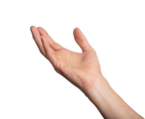 hold stock  images  backgrounds