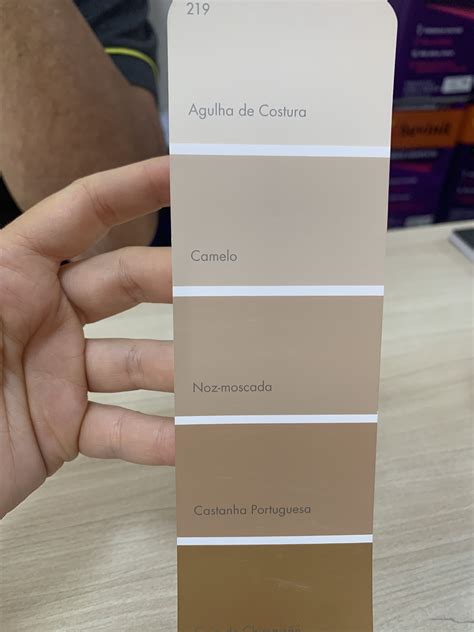 26 ideias de Cores para apartamentos interno | cores internas para