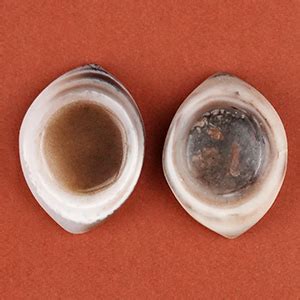 buy original agate eye stone    price