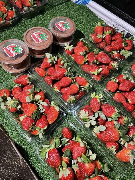 Ineed4gift - 🔥【Pre-Order】Japan AV Star Saika Kawakita Saika Adult Photo