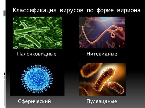 Вирусы и бактериофаги - презентация онлайн