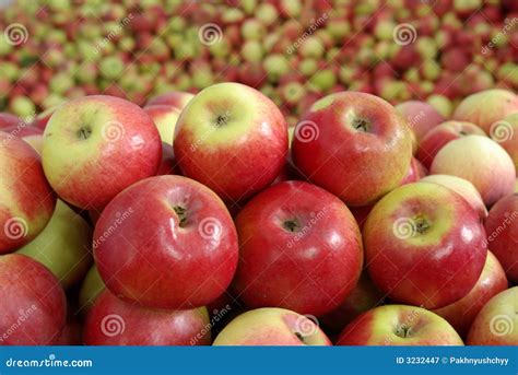 group apple stock image image  essential healthy apple