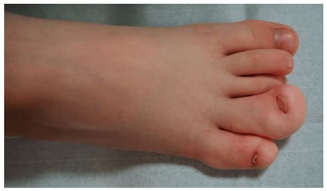 30 Facts About Foot Locker - Facts.net