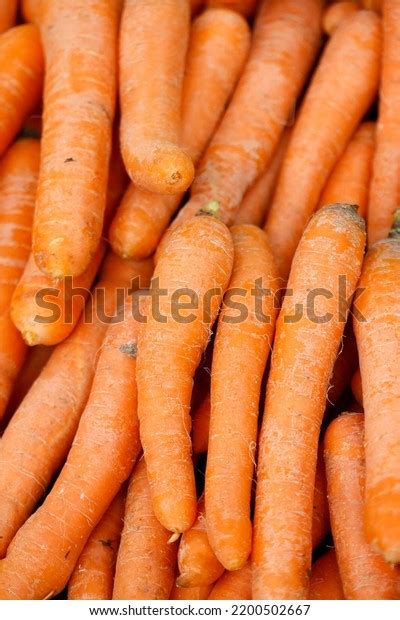 Carrots Exposed Street Market Stall Stock Photo 2200502667 | Shutterstock