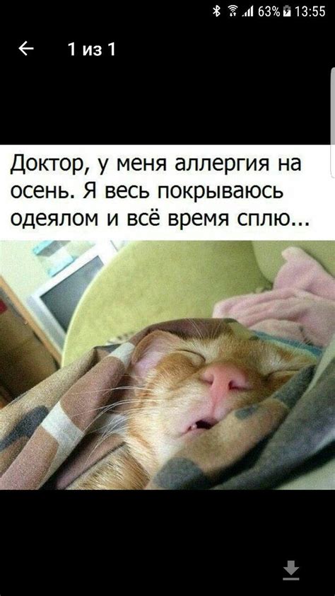 Ну и погода,мать вашу. | Врачебный юмор, Смешные штуки, Смешной юмор