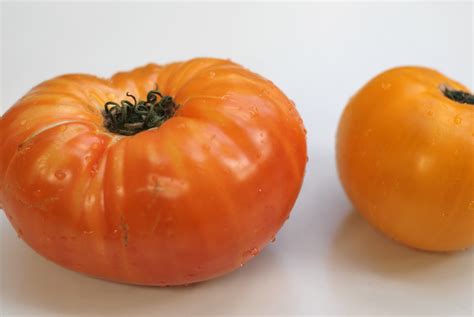 Heirloom Tomato Basil Jam – Poole Party of 5