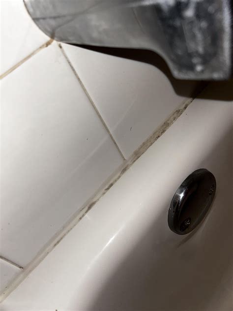 How to get rid of shower caulking mold? : r/CleaningTips