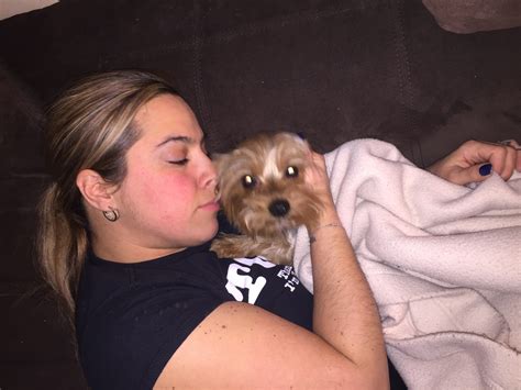 NYC man charged in deadly pit bull attack on Manhattan dog