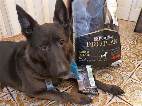 Hay Lin bau bau: PURINA PRO PLAN Nature Elements