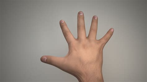 Hand Rigged Free 3D Model - .3ds .obj .c4d - Free3D