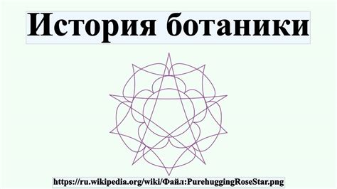 История ботаники - YouTube