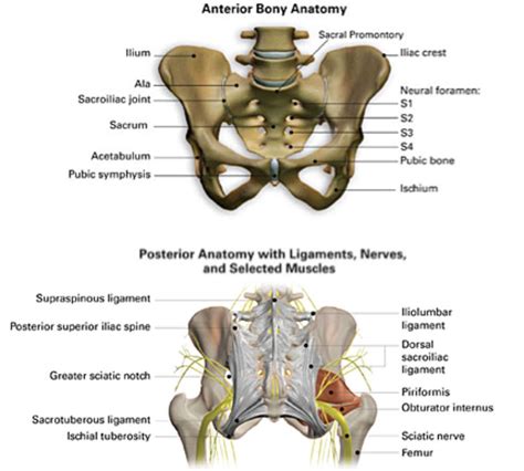 Pin on autoimmune and pain