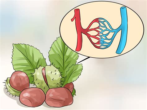 how to ease pain of hemorrhoids 3