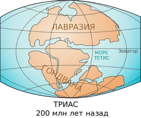 Континенты Земли. Сколько их, названия. Самый сухой, большой, маленький ...