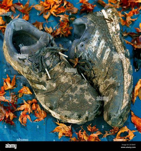 Men's Muddy Adidas Running Shoes, Dirty Adidas Training Shoes ...