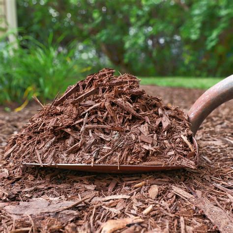 Dried Leaves As Mulch: Tips On Using Leaf Litter For Mulch | Gardening