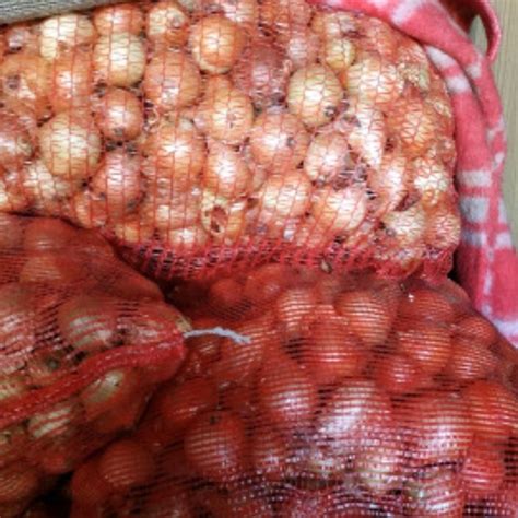 Продам лук, цибуля, штутгарт - купить лук, цибуля, штутгарт ...