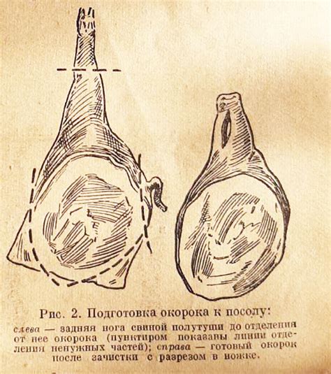 окорок свиной что это такое
