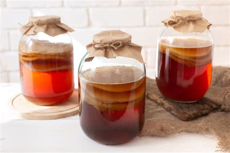 Where To Buy A SCOBY Culture And How To Keep It Alive
