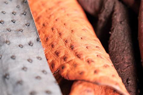 Exotic Leathers – Hand and Sew Leather