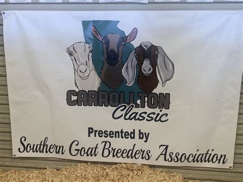 2020 Carrollton Classic - MerryTale Farm