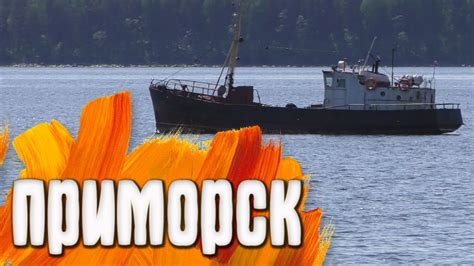 Приморск Ленинградская область - YouTube