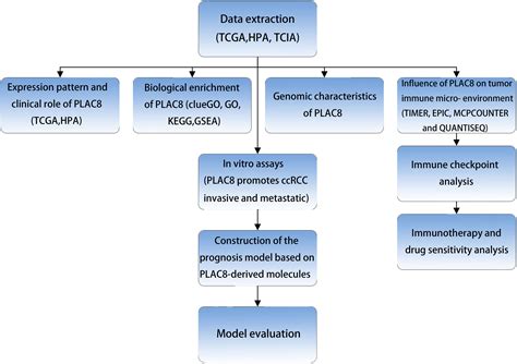 Xena Kai Formula Drift 2022