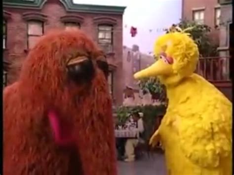 Big Bird and Snuffy in The Street We Live On! | Sesame street, Music ...