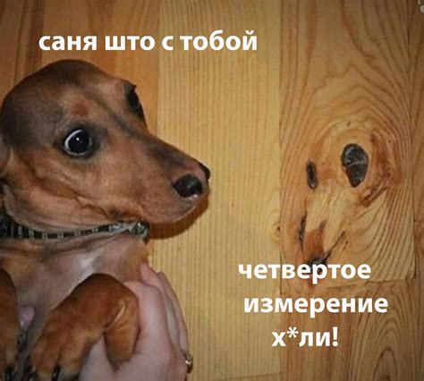 Невидимость через четвертое измерение👻