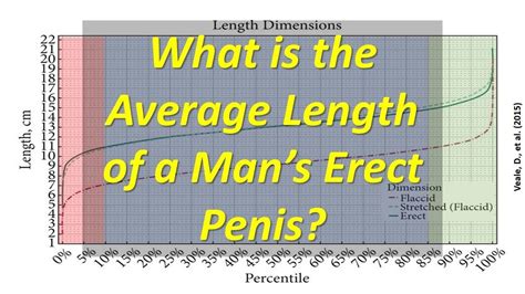 average length   mans erect penis youtube