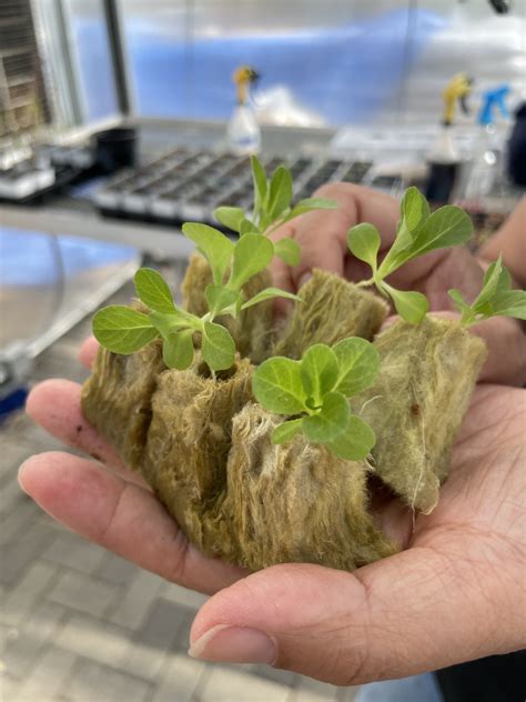 Environmental ProjectsBaliga Systems Education Experiences