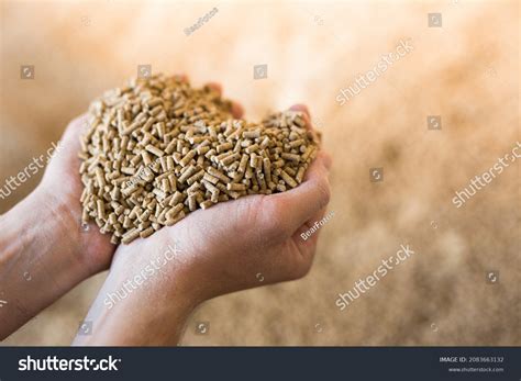 animal feed