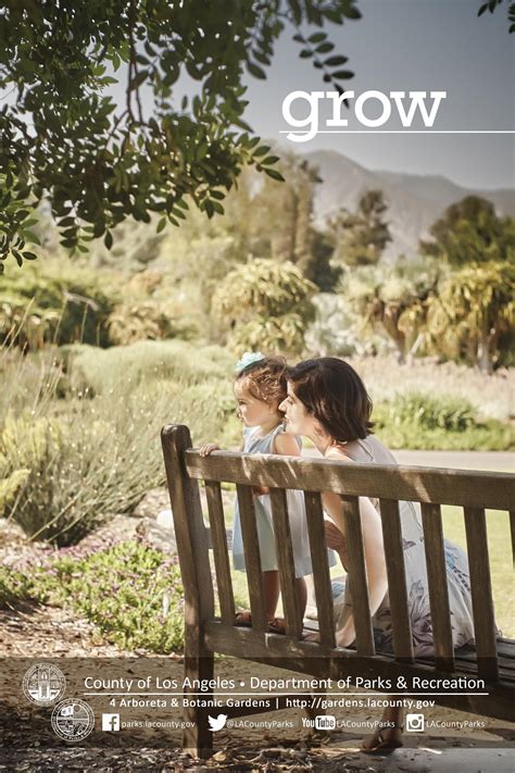 Lynn Adrianna Freedman