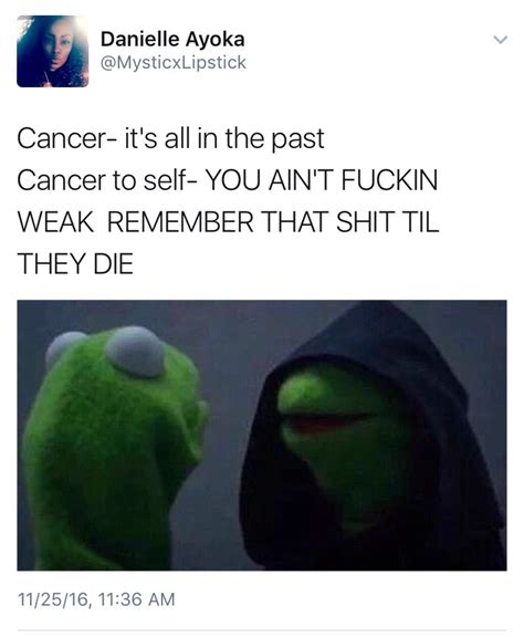 weavemama: THE SIGNS AS THE NEW KERMIT MEME - FunnySh*t