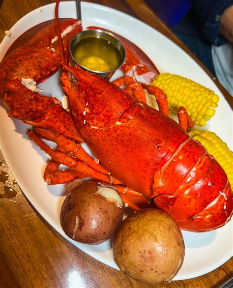 Check Out These Art & Culture Events in Boca Raton!