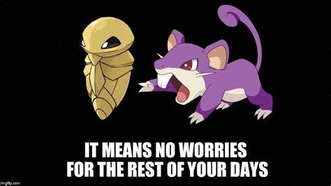 rattata Memes & GIFs - Imgflip