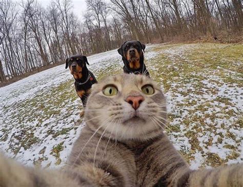 When you are trying to take an epic selfie and your two besties go in ...