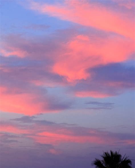 Polly Kendall - Polly Kendall added a new photo.