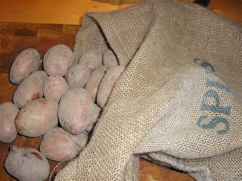 Ditch the Chemicals and Chose Blight Resistant Potatoes This Year