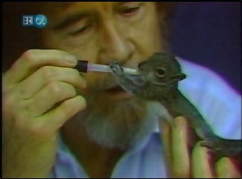 Bob Ross feeds Peapod, his pet squirrel (dont think this has been ...