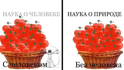 Лестница Якова. 1 часть. Что есть истина? - YouTube