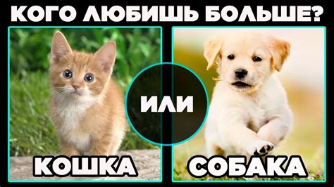 КОГО ТЫ ЛЮБИШЬ БОЛЬШЕ? - YouTube