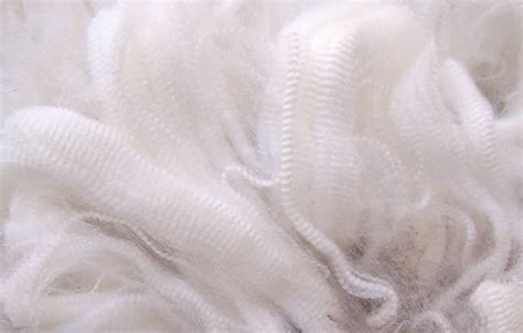 merino wool snowdrop merino