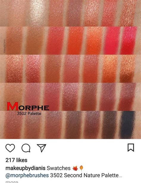 Morphe | Makeup swatches, Makeup, Swatch
