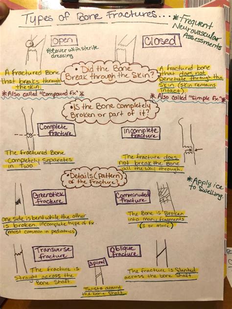 bones fracture types biology lessons study flashcards biology notes