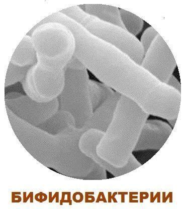 Закваски прямого внесения
