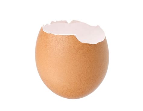 premium photo eggshell isolated  white background